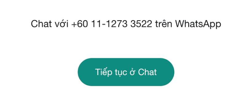 Liên Hệ 5 WhatsApp – Dành cho khách quốc tế
